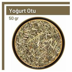 50 gr Yoğurt Otu