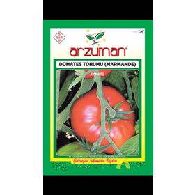 500 Adet Marmande Domates Tohumu