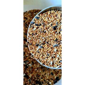 500 gr Ankara Yem Evi Forpus Sultan Cennet Sevda Papağanı Yemi