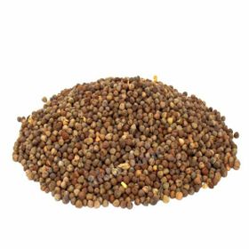 500 gr Rezene Tohumu