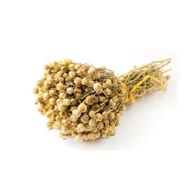 500 gr Üzerlik Tohumu
