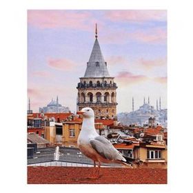 50x65 cm Galata Kulesi ve Martı Sayılarla Boyama Seti Rulo Duvar Sticker