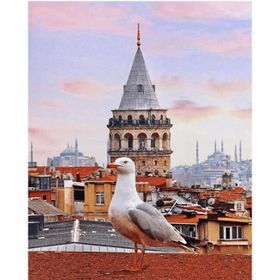 50x65 cm Galata Kulesi ve Martı Sayılarla Boyama Seti Rulo Duvar Sticker