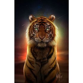 50x65 cm Ritüel Kaplanı Sayılarla Boyama Seti Rulo Duvar Sticker