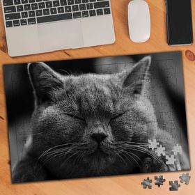 54636 Siyah Beyaz Gözlerini Kapatmış Kedi 240 Parça Puzzle Yapboz