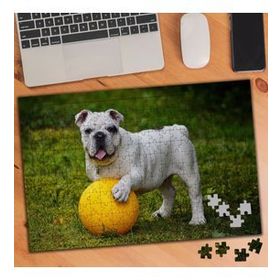 562723 Top Oynayan Oyun Sever Köpek 240 Parça Puzzle Yapboz