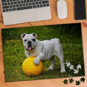 562723 Top Oynayan Oyun Sever Köpek 240 Parça Puzzle Yapboz