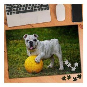 562723 Top Oynayan Oyun Sever Köpek 240 Parça Puzzle Yapboz