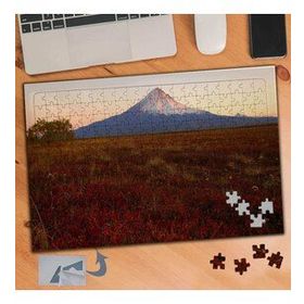 586 Çimenlerin Ardında Karlı Dağ 240 Parça Puzzle Yapboz Tablo
