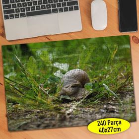 596162 Yeşil Çimenler Arasında Salyangoz 240 Parça Puzzle Yapboz