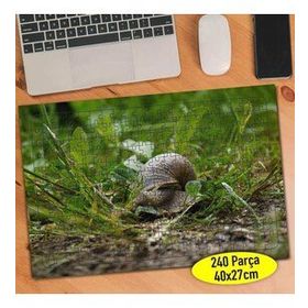 596162 Yeşil Çimenler Arasında Salyangoz 240 Parça Puzzle Yapboz