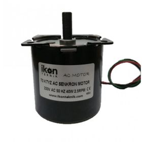 5Rpm 40W 70Ktyz Ac Senkron Motor