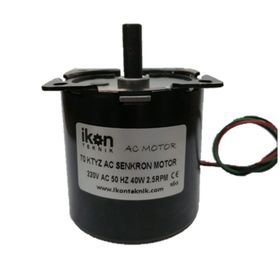 5Rpm 40W 70Ktyz Ac Senkron Motor