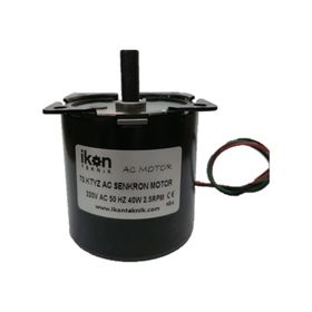 5Rpm 40W 70Ktyz Ac Senkron Motor