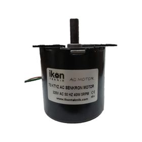 5Rpm 40W 70Ktyz Ac Senkron Motor
