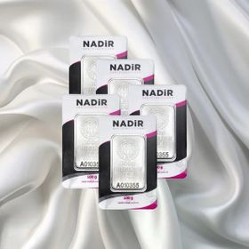 5X100 gr Külçe Gümüş