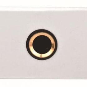 6.3 mm Dişi Port Mikrofon Duvar Prizi Modülü