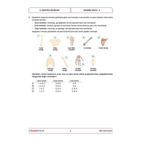6. Sınıf Fen Bilimleri Soru Analizli 10+1 Deneme Puan Yayınları