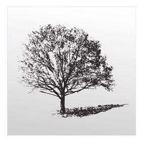 60 cm Ağaç Folyo Sticker