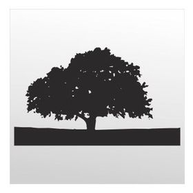 60 cm Ağaç Folyo Sticker