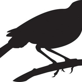 60 cm Arı Kuşu Folyo Sticker