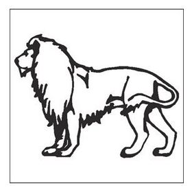 60 cm Aslan Folyo Sticker