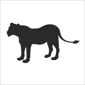 60 cm Aslan Folyo Sticker