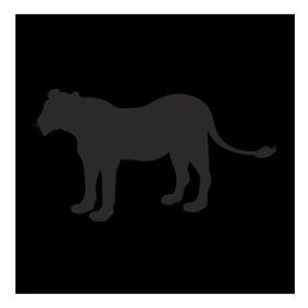 60 cm Aslan Folyo Sticker