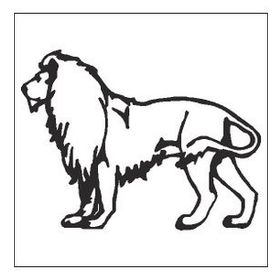 60 cm Aslan Folyo Sticker