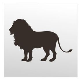60 cm Aslan Folyo Sticker