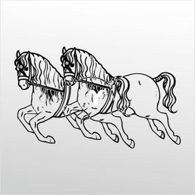 60 cm Atlar Folyo Sticker