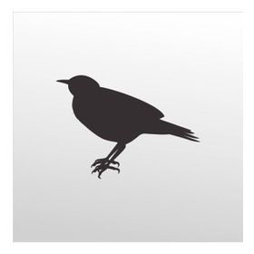 60 cm Bülbül Folyo Sticker