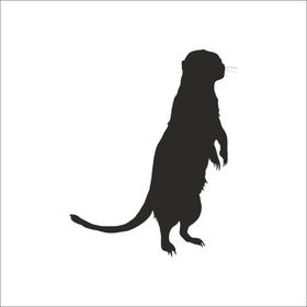 60 cm Gelincik Folyo Sticker