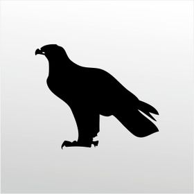 60 cm Kartal Folyo Sticker