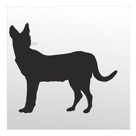 60 cm Kedi Folyo Sticker