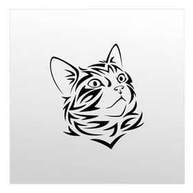 60 cm Kedi Folyo Sticker