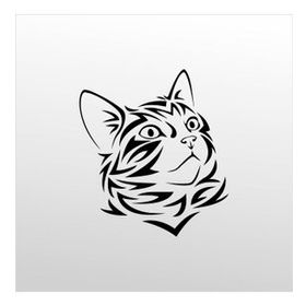 60 cm Kedi Folyo Sticker