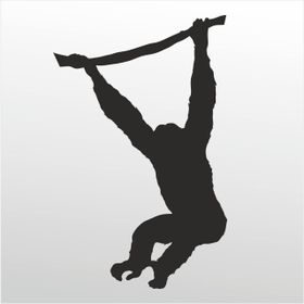 60 cm Maymun Folyo Sticker