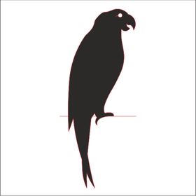 60 cm Papağan Folyo Sticker