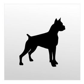 60 cm Pitbull Folyo Sticker