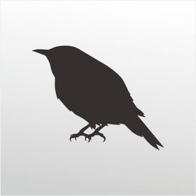 60 cm Serçe Folyo Sticker