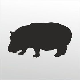 60 cm Su Aygırı Folyo Sticker