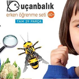 60+ Erken Öğrenme Seti-Uçanbalık Yayınları