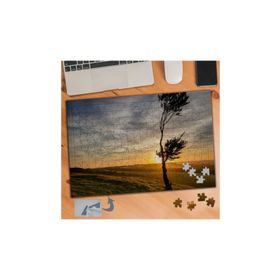 600 Çölde Kuru Ağaç Gün Batımı 240 Parça Puzzle Yapboz Tablo