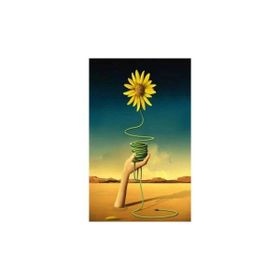 60x75 cm Arnika Sayılarla Boyama Seti Rulo Duvar Sticker