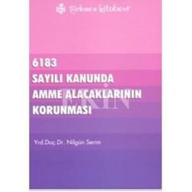 6183 SAYILI KANUNDA AMME ALACAKLARININ KORUNMASI - NİLGÜN SERIM