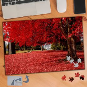 624 Kırmızı Dökülen Yapraklar 240 Parça Puzzle Yapboz Tablo