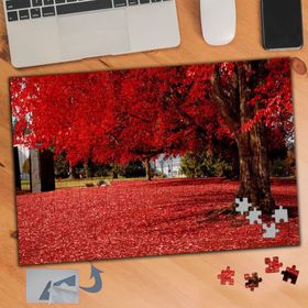 624 Kırmızı Dökülen Yapraklar 240 Parça Puzzle Yapboz Tablo