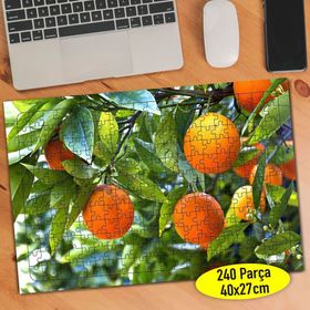 62817205 Meyve Bahçesi Portakal Ağacı 240 Parça Puzzle Yapboz