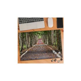 656969 Sonbahar Yapraklı Ağaçlı Yol 240 Parça Puzzle Yapboz